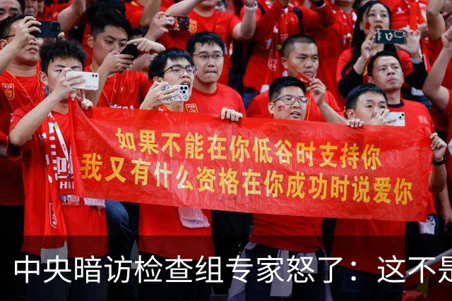 中央暗访检查组专家怒了：这不是开玩笑吗？